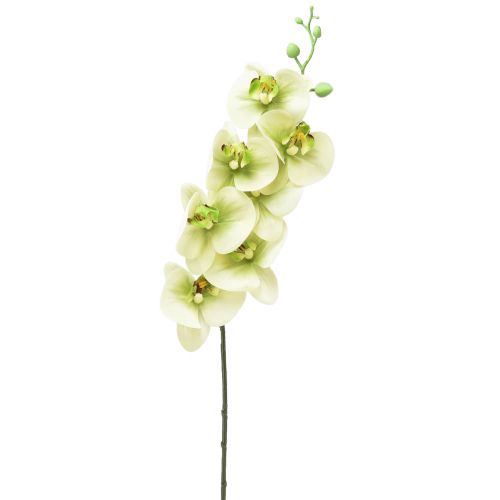 Floristik21 Orchidee Künstlich Gelb Grün Phalaenopsis L83cm