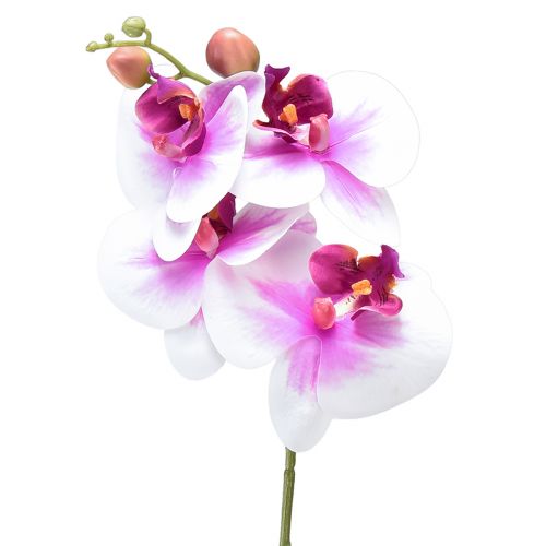 Floristik21 Orchidee Künstliche Phalaenopsis 4 Blüten Weiß Pink 72cm