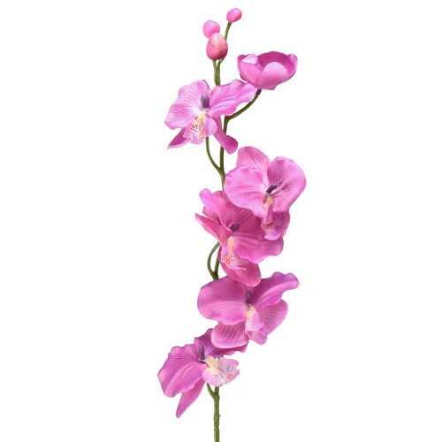 Floristik21 Orchidee Phalaenopsis künstlich 6 Blüten Lila 70cm