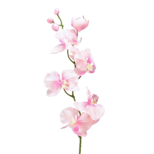 Floristik21 Orchidee Phalaenopsis künstlich 6 Blüten Rosa 70cm