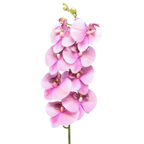 Floristik21 Orchidee Phalaenopsis künstlich 8 Blüten Rosa 104cm