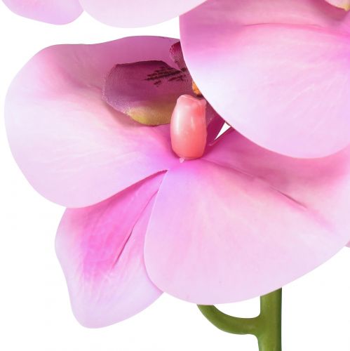 Artikel Orchidee Phalaenopsis künstlich 8 Blüten Rosa 104cm