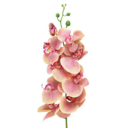 Artikel Orchidee Phalaenopsis künstlich 9 Blüten Pink Vanille 96cm