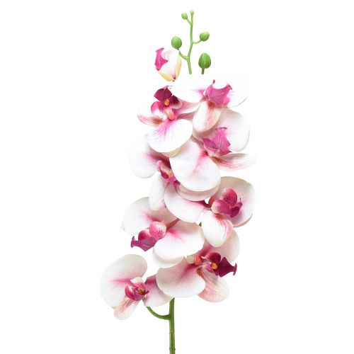 Floristik21 Orchidee Phalaenopsis künstlich 9 Blüten Weiß Fuchsia 96cm