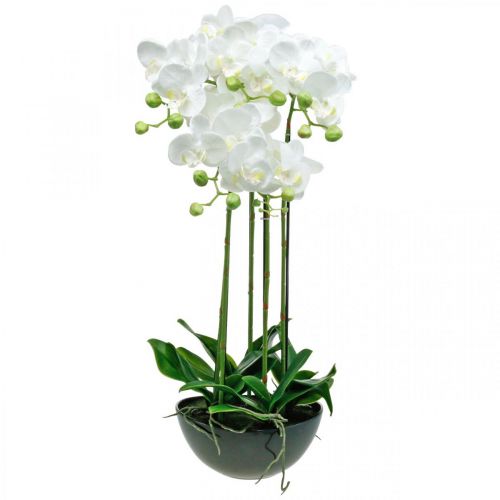 Floristik21 Künstliche Orchideen im Topf Weiß Kunstpflanze 63cm