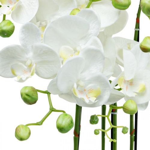 Floristik21 Künstliche Orchideen im Topf Weiß Kunstpflanze 63cm