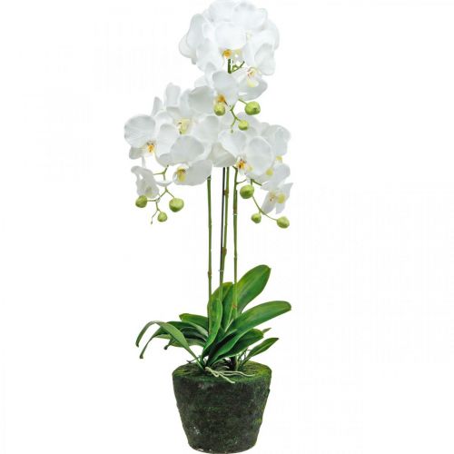 Artikel Künstliche Orchideen für den Topf Weiß 80cm
