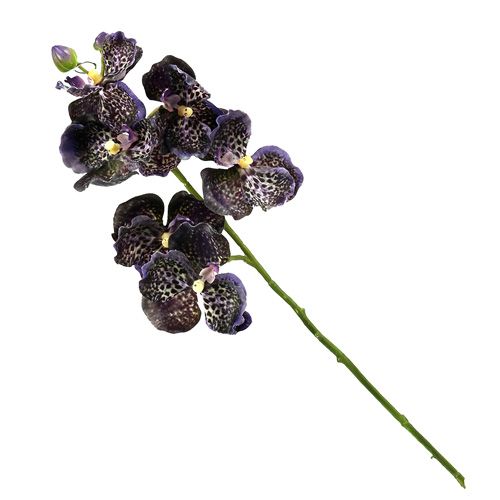 Floristik21 Orchidee Vanda künstlich Violett L 44cm