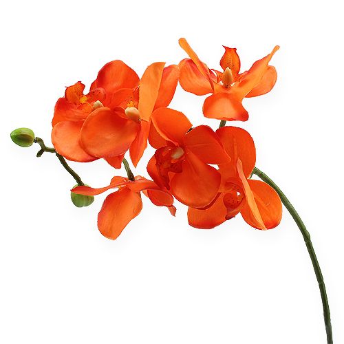 Floristik21 Orchideenzweig Orange 61cm