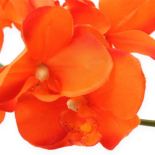 Floristik21 Orchideenzweig Orange 61cm