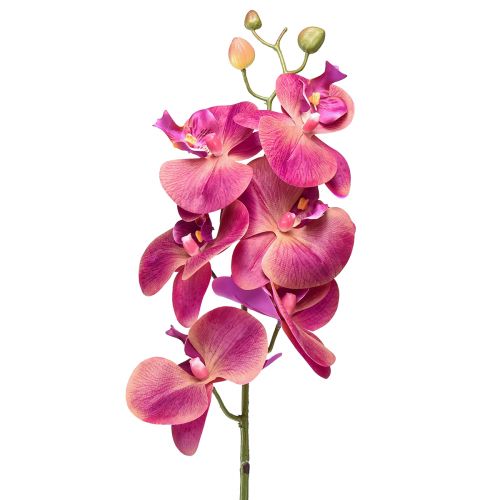Floristik21 Künstliche Orchidee Phalaenopsis Orchidee Fuchsia 78cm