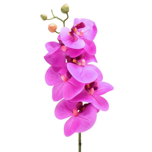 Artikel Künstliche Orchidee Phalaenopsis Orchidee Pink 78cm