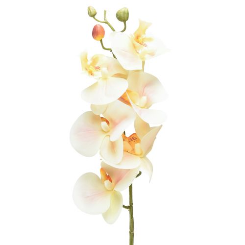 Floristik21 Künstliche Orchidee Creme Orange Phalaenopsis 78cm