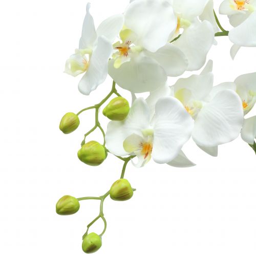 Floristik21 Orchidee Weiß auf Erdballen 118cm