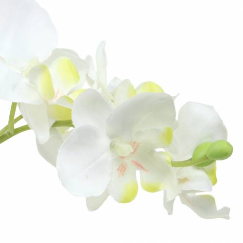 Floristik21 Orchideen Weiß im Topf Kunstpflanze H35cm