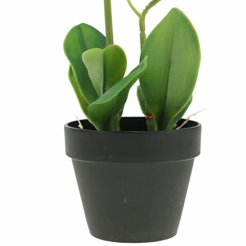 Floristik21 Orchideen Weiß im Topf Kunstpflanze H35cm