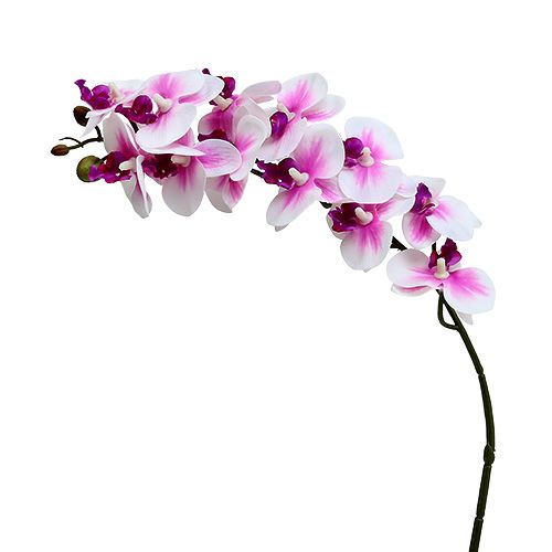 Floristik21 Orchideenzweig Weiß-Rosa L58cm