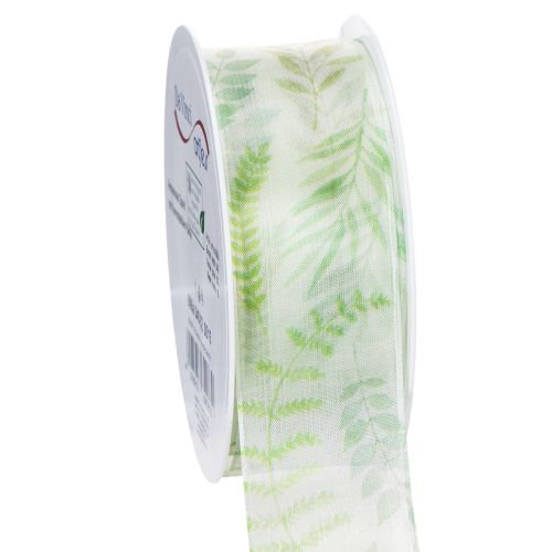 Organzaband Chiffonband Grün Blattranken 40mm 15m einkaufen | Floristik21.de
