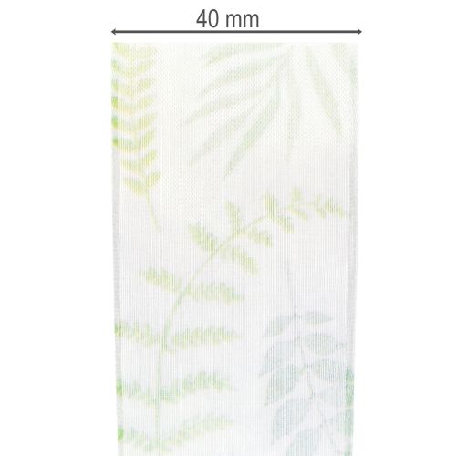 Artikel Organzaband Chiffonband Grün Blattranken 40mm 15m