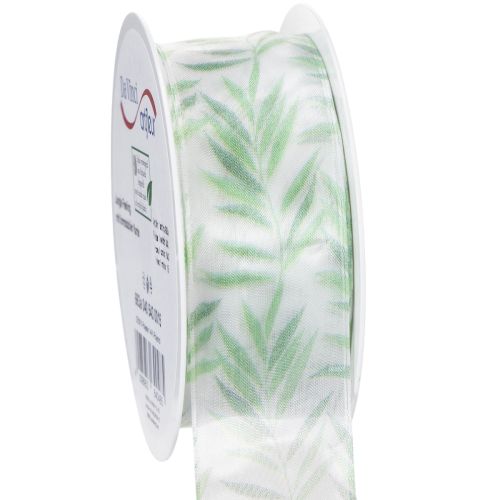 Floristik21 Organzaband Chiffonband Grüne Pflanzen Band 40mm 15m