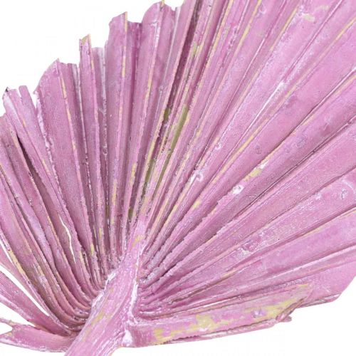 Artikel Palmspear Mix Rosa Berry, Weiß gewaschen Gedenkfloristik 65 St