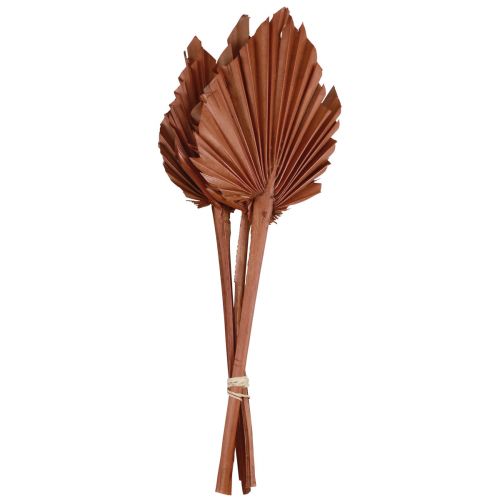 Artikel Palmspear Palmenblätter Naturdeko Braun 5-9×14cm L35cm 4St