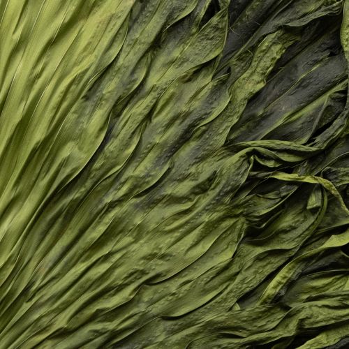 Artikel Palmwedel Deko für exotische Arrangements und Tischdekoration