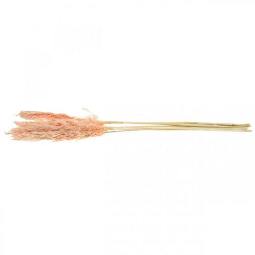 Artikel Getrocknetes Pampasgras Rosa Trockenblumen Naturdeko 65-75cm 6St