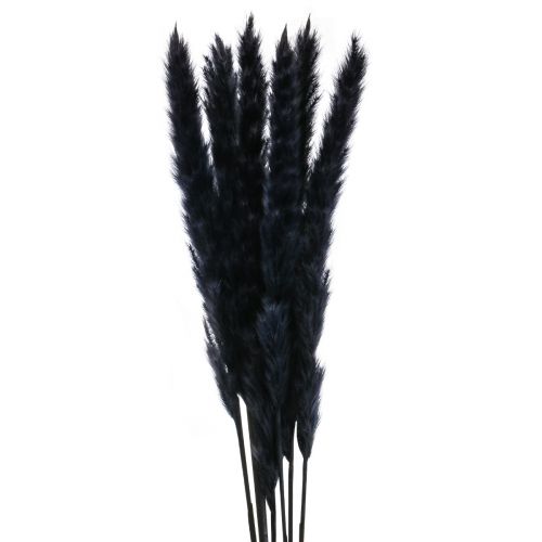 Artikel Pampasgras Schwarz Getrocknet Trockendeko L72cm 6 St