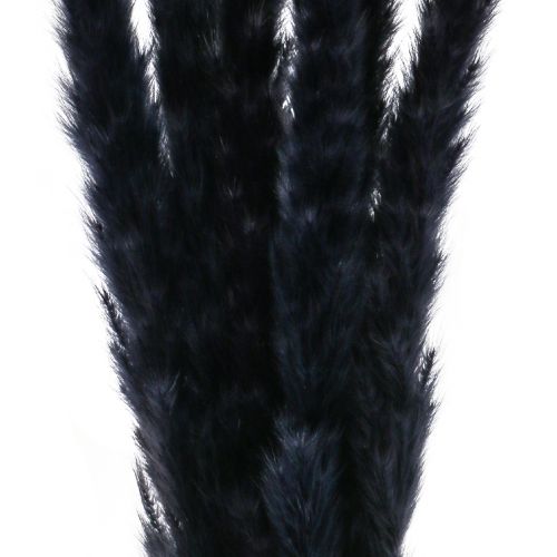 Artikel Pampasgras Schwarz Getrocknet Trockendeko L72cm 6 St