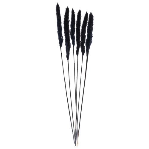 Artikel Pampasgras Schwarz Getrocknet Trockendeko L72cm 6 St