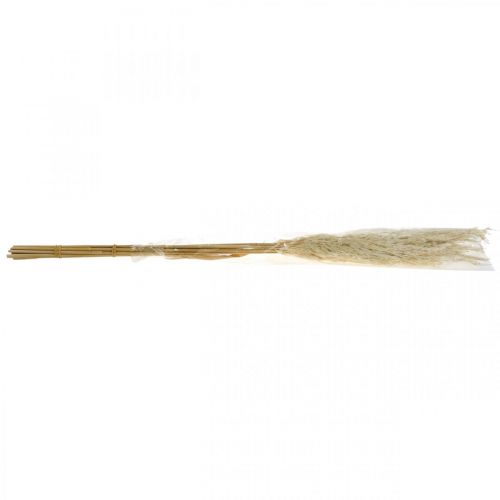 Pampasgras getrocknet Gebleicht 75cm Für Trockenstrauß Bund mit 10St
