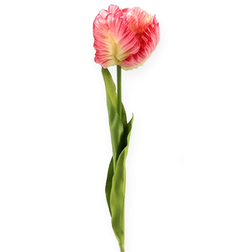 Floristik21 Papagei-Tulpe Pink 71cm 3St