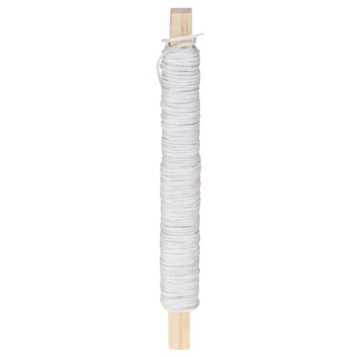 Floristik21 Papierkordel Draht umwickelt Ø0,8mm 22m Weiß