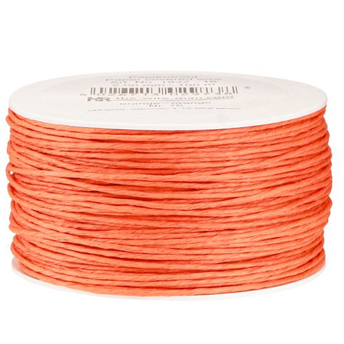 Floristik21 Papierkordel Draht umwickelt Ø2mm 100m Orange