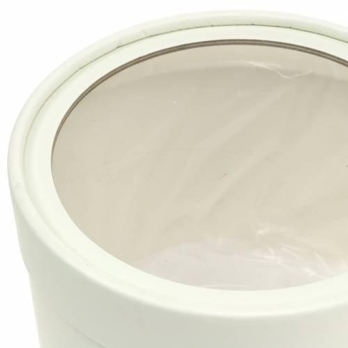 Floristik21 Blumenbox rund Karton Creme Ø12,5/16cm 2er Set