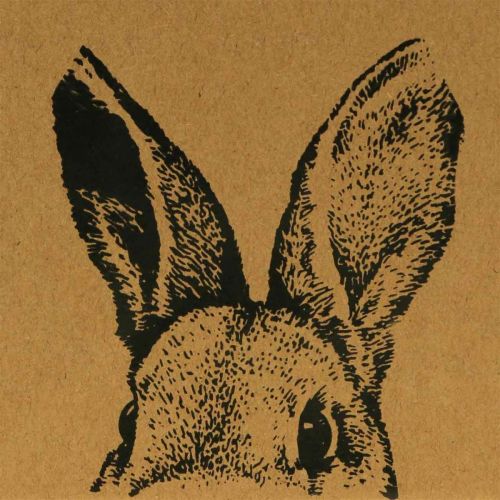 Geschenktüte Ostern Papiertüte Hase Braun 16×6,5×20cm 6St