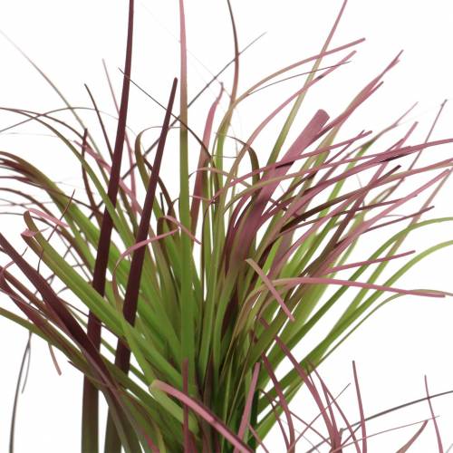 Floristik21 Zypergras im Topf künstlich Grün, Rotlila 45cm