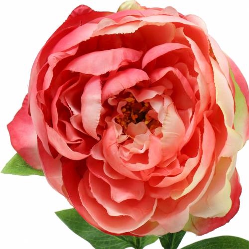 Pfingstrose Pink 59cm