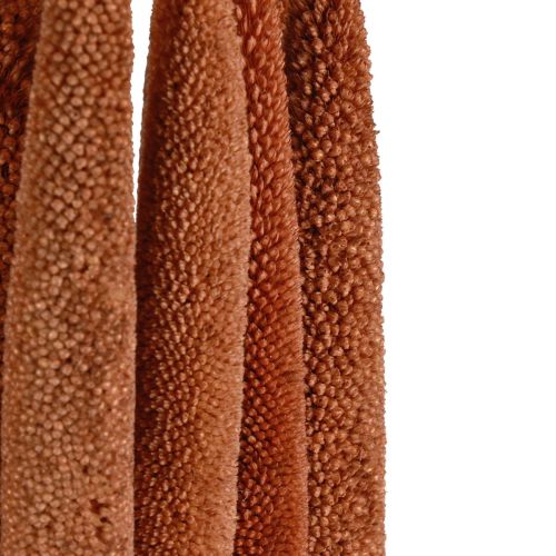 Artikel Perlhirse Deko Schilfkolben Babala Kolbenhirse Braun 70cm 10 St