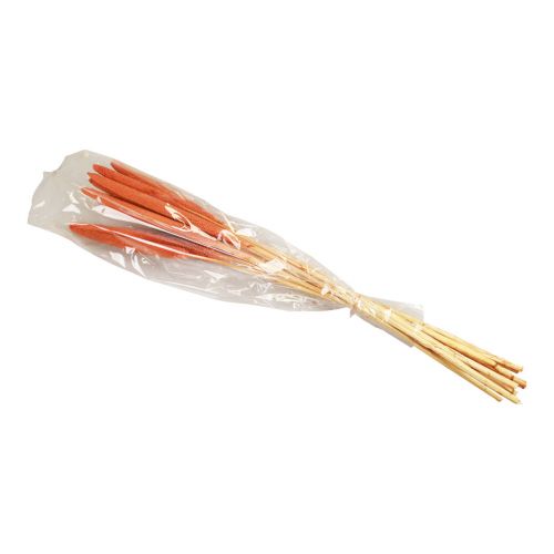 Artikel Perlhirse Schilfkolben Babala Kolbenhirse Orange 70cm 10 St