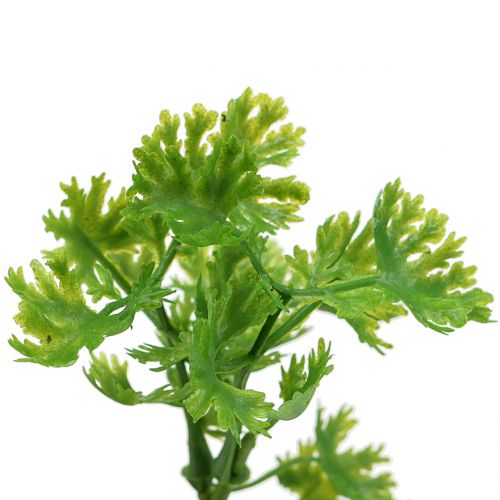 Floristik21 Petersilie künstlich Grün 26cm 3St