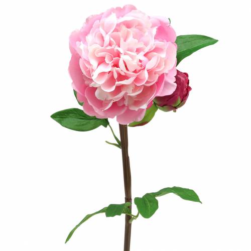 Floristik21 Pfingstrose Kunstblume mit Blüte und Knospe Rosa 68cm