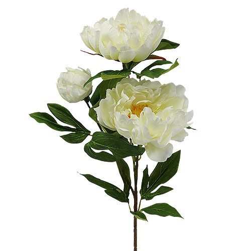 Floristik21.de Pfingstrose Kunstblumen Creme L70cm-73503