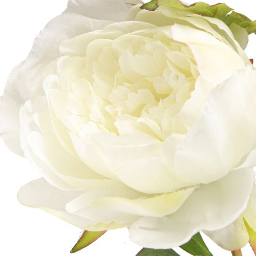 Artikel Prachtvolle künstliche Pfingstrosen Weiß Creme 81cm elegante Deko 2St