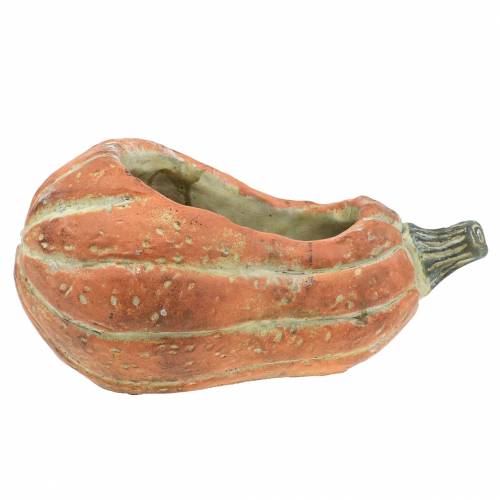 Kürbis zum Bepflanzen Orange 28×15×14cm