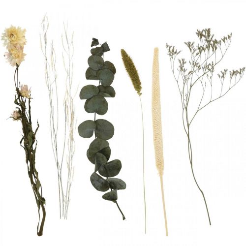 Floristik21 Trockenblumen Strauß Eukalyptus Trockenfloristik Set H30-35cm