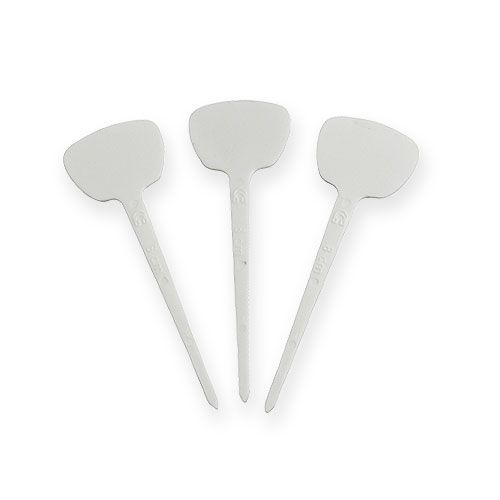 Floristik21 Pflanzensteckschild 8cm 100St