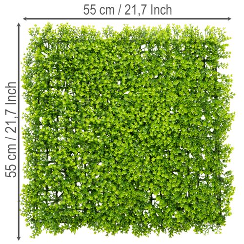 Kunststoff Buchsbaum Matte 55x55 cm grün für Wandgestaltung | Floristik21.de