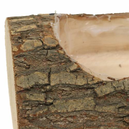Pflanzgefäß Ulmenholz 20cm x 11cm H9cm
